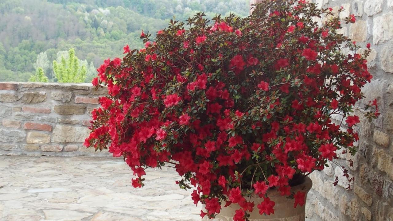 La Corte Di Langa ξενώνας Albaretto della Torre Εξωτερικό φωτογραφία